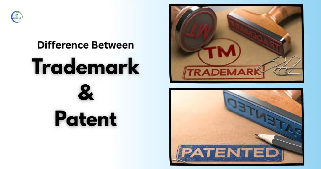 Trademark & Patent Registration in India: Complete Guide for Businesses and Innovators